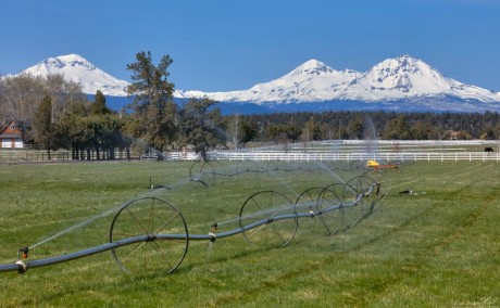 Bend Hits the big time!