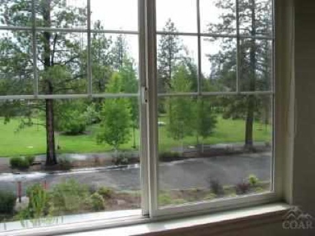 View of park from great room-The Parks at Broken top