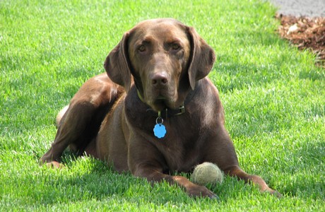 bailey at odin falls ranch