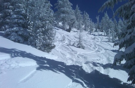 backside mt. bachelor