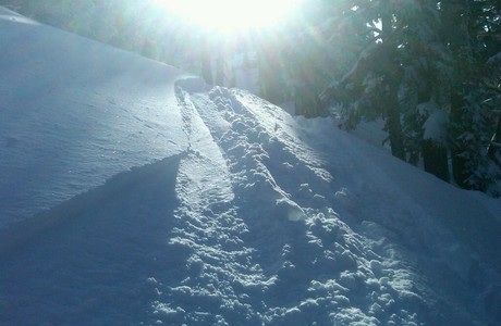 early morning powder run on the backside of mt. bachelor