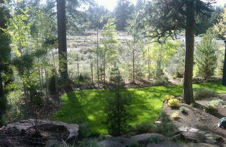 rocco's back yard in bend oregon