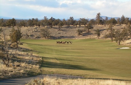 Brasada Ranch denizens