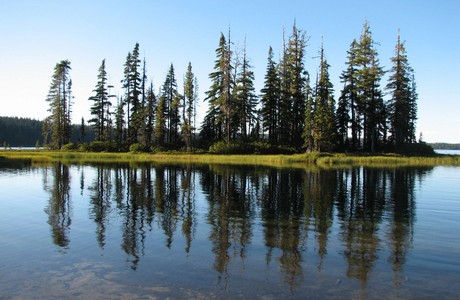 Waldo Lake