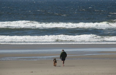 Rocco on the Oregon Coast