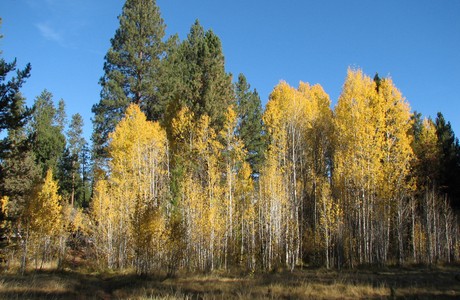 First day of fall in Bend Oregon