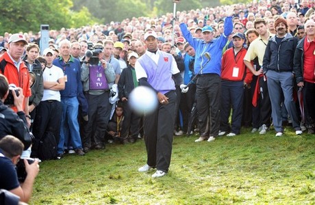 Tiger wonders about B of A halting foreclosures in all 50 states