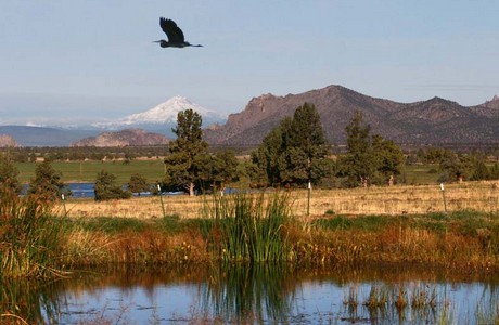 Fall in Central Oregon by Bryan Hilts