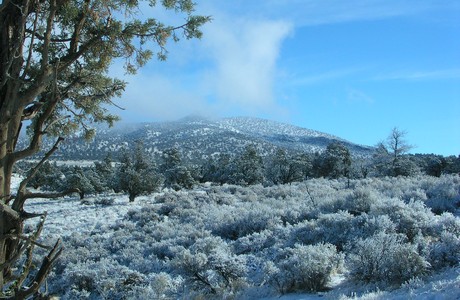 Snowy Brasada Ranch vista