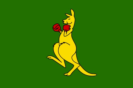 Boxing kangaroo