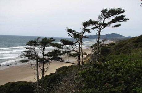 Majestic oceanfront norht of Newport Oregon