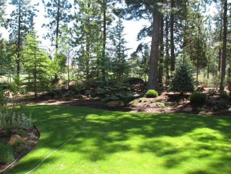 Back yard in The Parks . . . listing for Sandy Kohlmoos