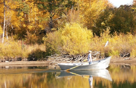 Fall on the Deschutes