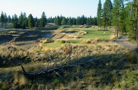 Woods on the right on long par 4 at Tetherow course