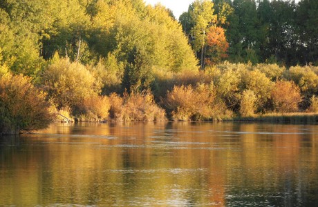 Deschutes River in Bend Oregon . . . above Dillon Falls