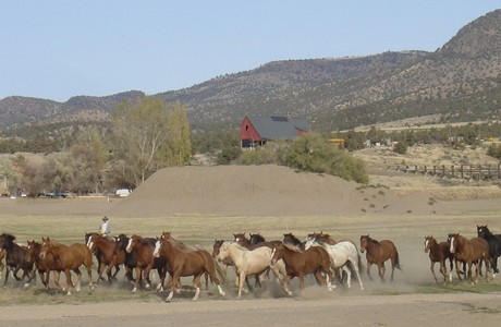 Post image for Brasada Ranch . . . homesite bargains