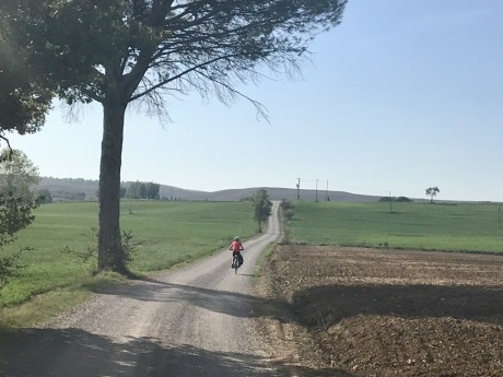 sandy country road